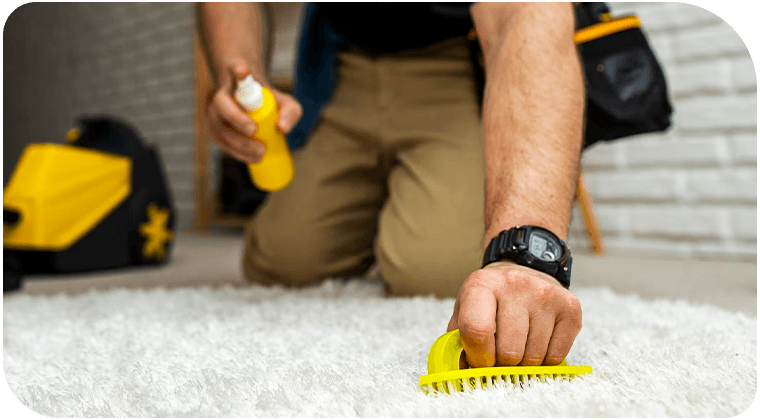 Dry Cleaning Service